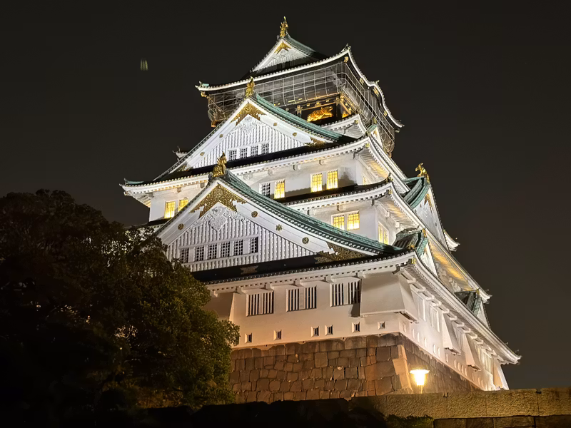Osaka Private Tour - Main Keep tower_night view