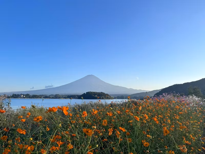 Yamanashi Private Tour - 