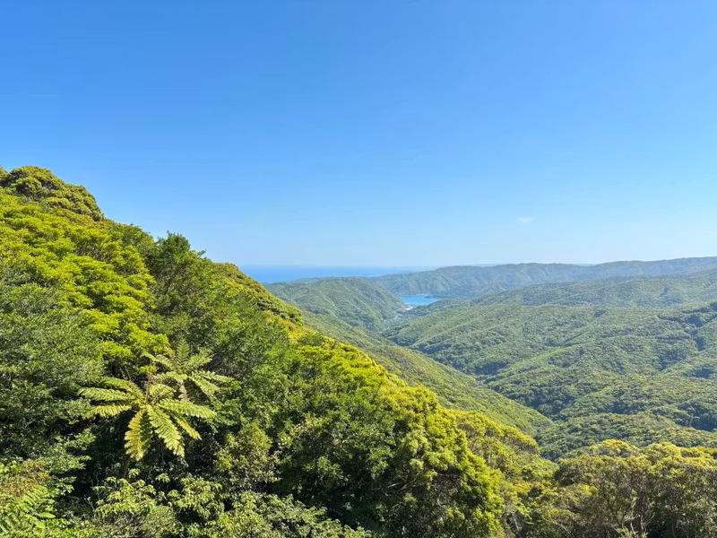 Kagoshima Private Tour - Amami Oshima, a low-key subtropic island in Japan.