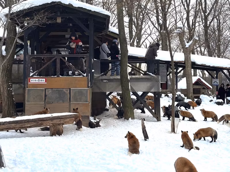 Miyagi Private Tour - fox village in winter time