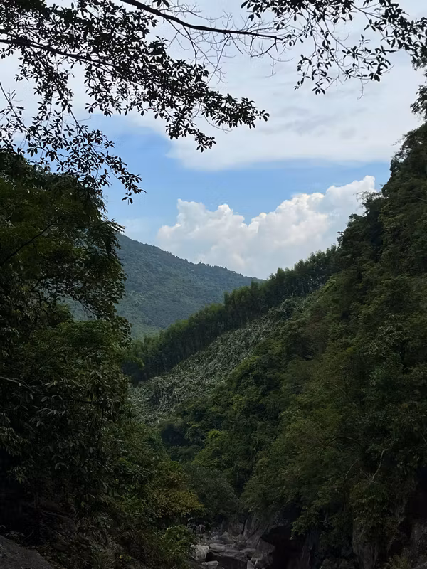 Da Nang Private Tour - View from the stream