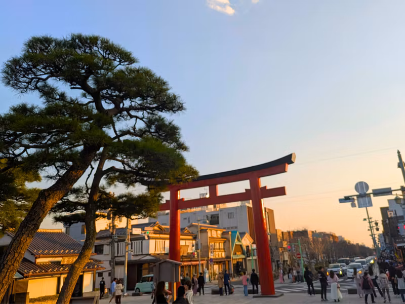 Kamakura Private Tour - Porte Torii