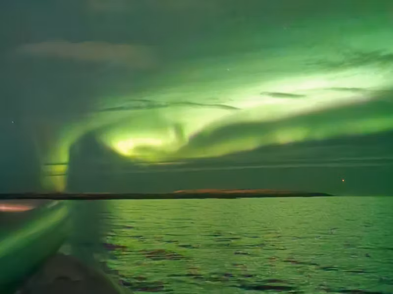 Reykjavik Private Tour - Northern lights from a yacht