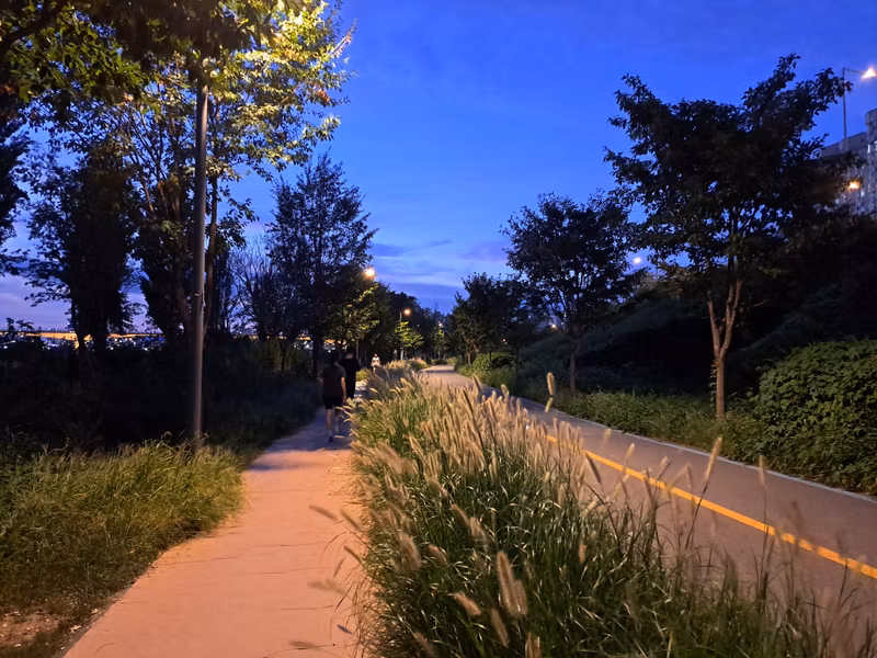 Seoul Private Tour - Night view of the Hangang River