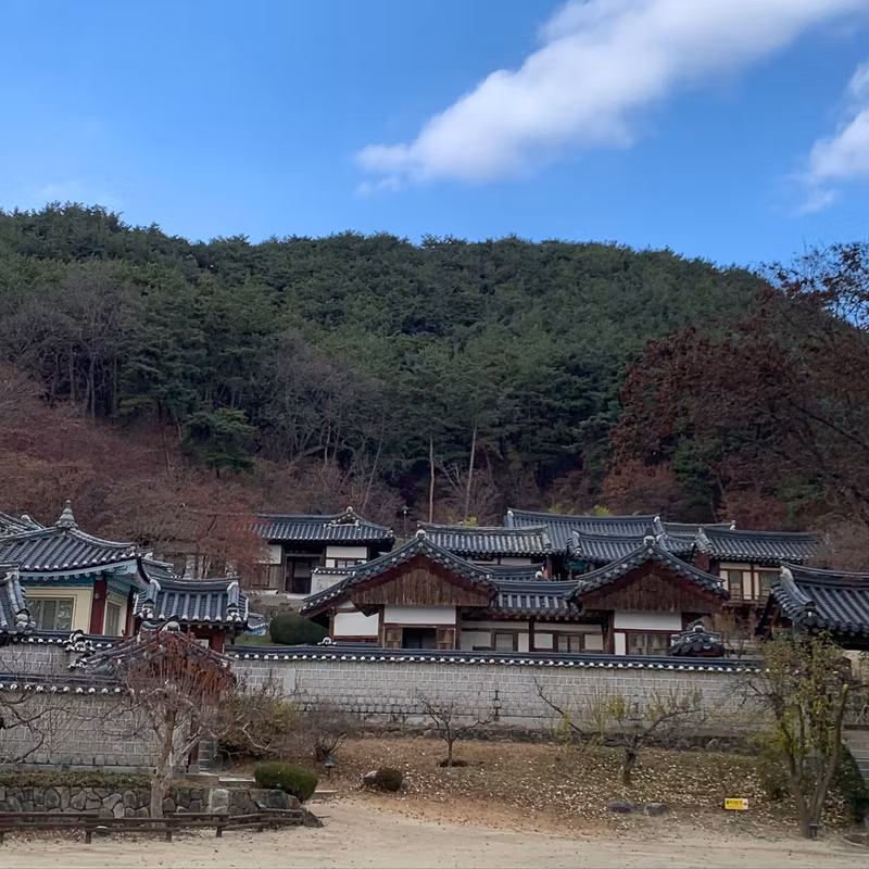 Seoul Private Tour - A view of Dosan Sewon