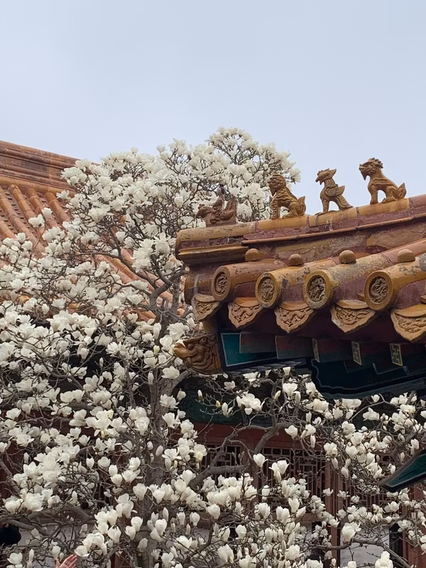 Beijing Private Tour - 