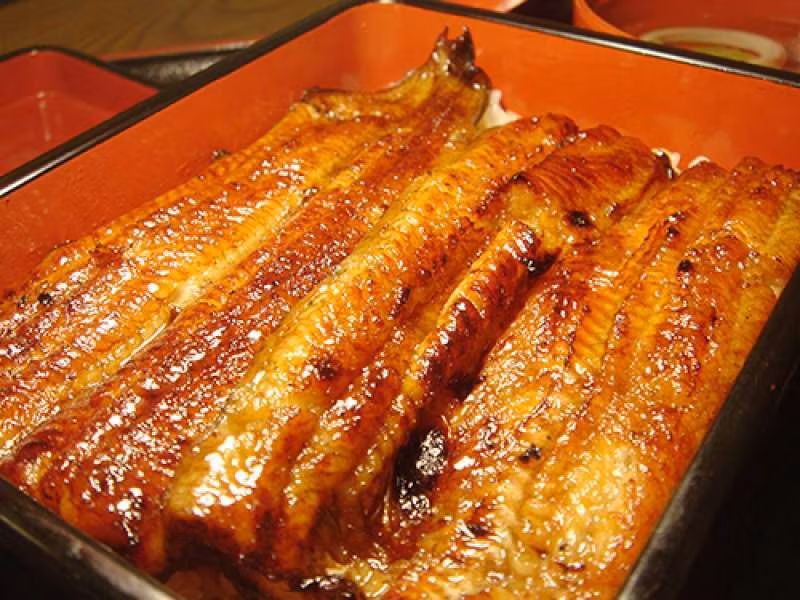 Chiba Private Tour - Baked eel is the popular dishes in Natira.