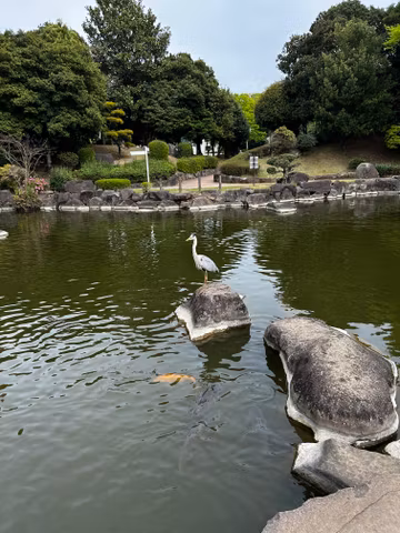 Enjoy a fun family day at Kumamoto City Zoocover image