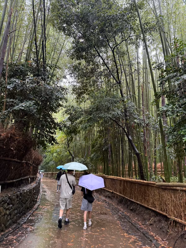 Kyoto Private Tour - Arashiyama Bamboo Grove