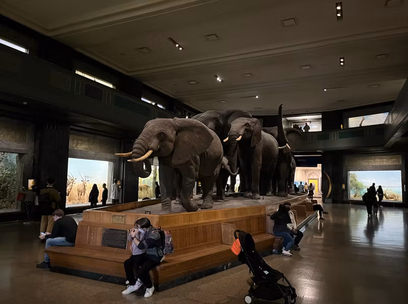 New York Private Tour - 