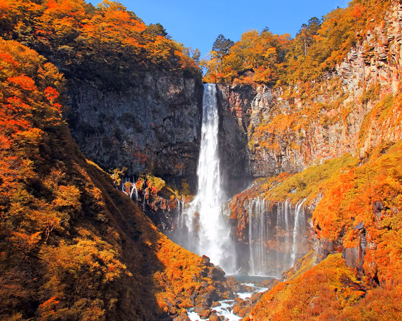 Tokyo Private Tour - 