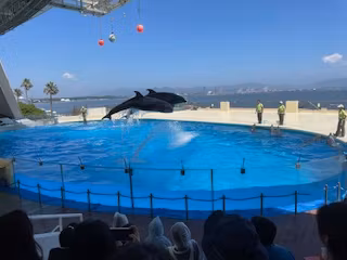 Fukuoka Private Tour - Marine World