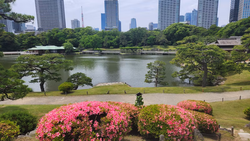 Tokyo Private Tour - 