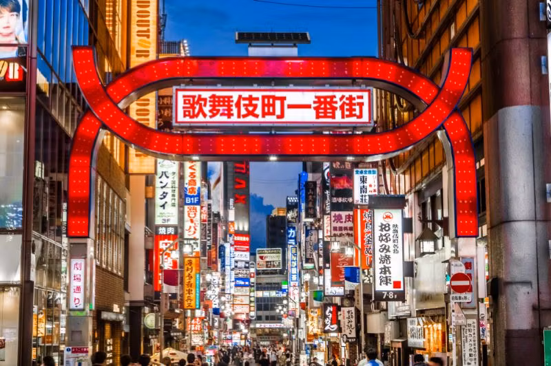Tokyo Private Tour - Shinjyuku Neon Street No1