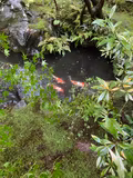 Mystical Journey Through Kurama, Okunoin, and Kifune - 2