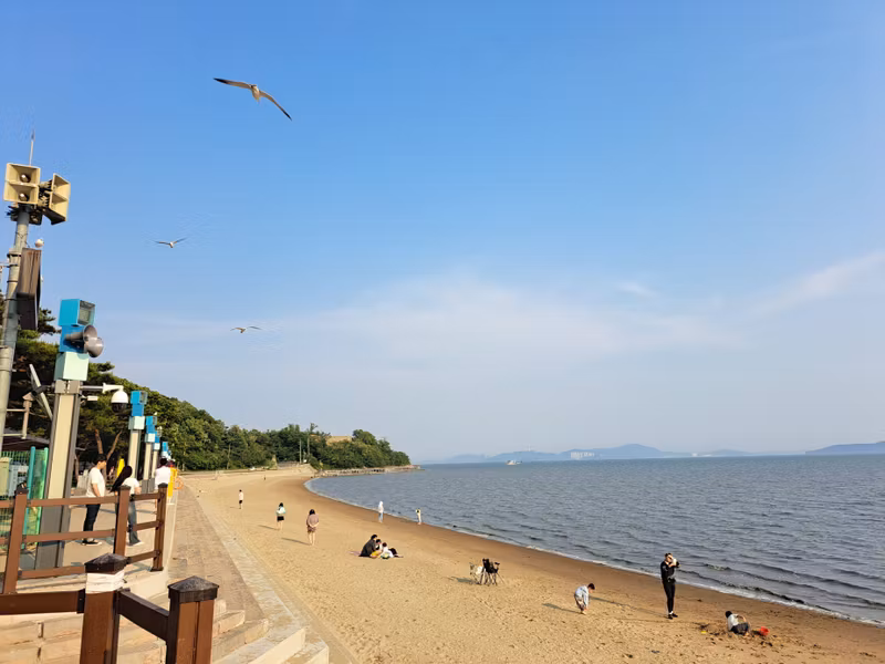 Seoul Private Tour - Dongmak Beach