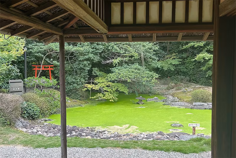 Fukuoka Private Tour - The former Samurai house