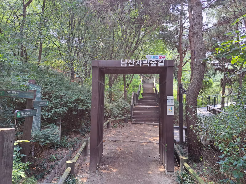 Seoul Private Tour - Namsan Jarak-gil (walking trail)