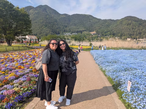 Mt Fuji & Lake Kawaguchi : Private Half Day Tour with Local Guidecover image