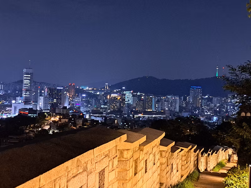 Seoul Private Tour - Seoul City Wall Night View