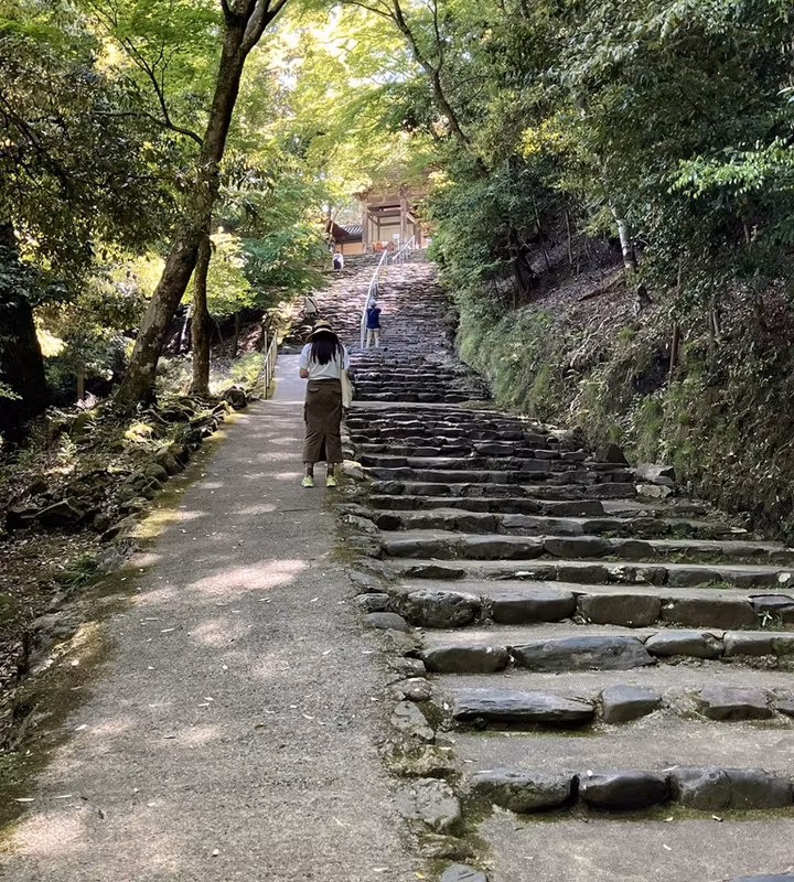 Kyoto Private Tour - Approach to Jingoji Temple