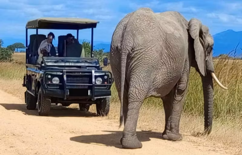 Dar es Salaam Private Tour - 