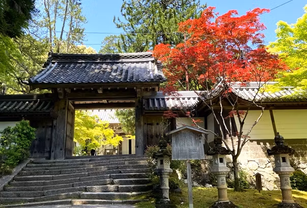Kyoto Private Tour - SAimyoji Temple