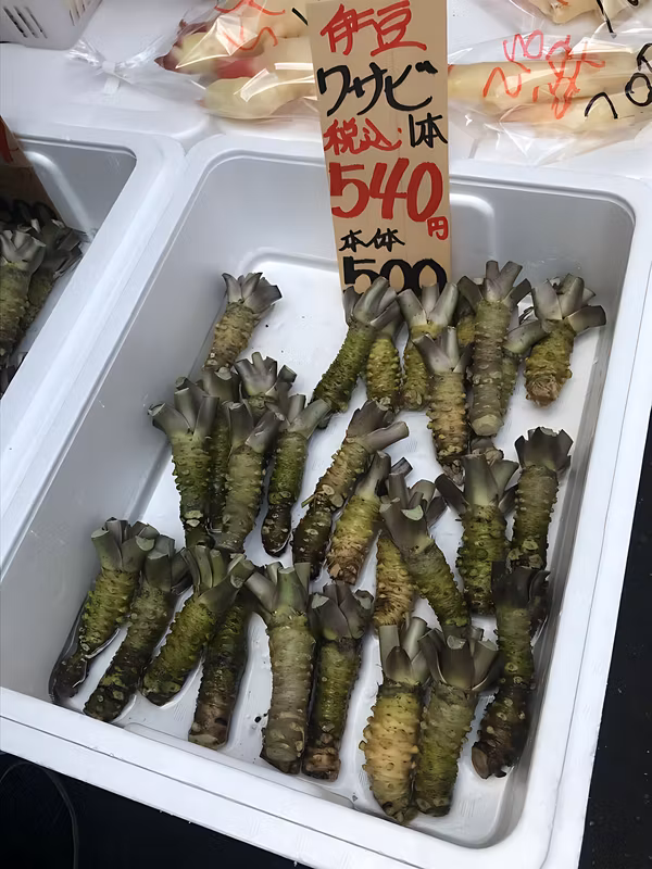 Tokyo Private Tour - Tsukiji's Eye-Opening Encounter