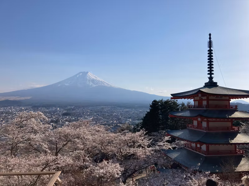 Mount Fuji Private Tour - Scenery of Chureito Pagoda during cherry blossom s