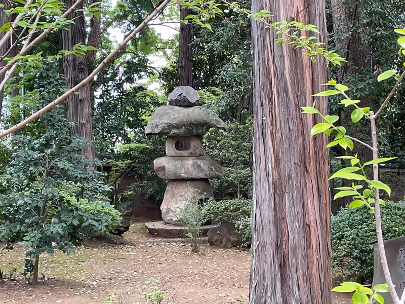 Tokyo Private Tour - The garden of Naka-in Temple