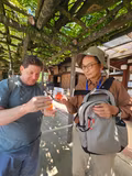 Western Highlights in Kyoto for the first time visitor Full Day Tour - 3