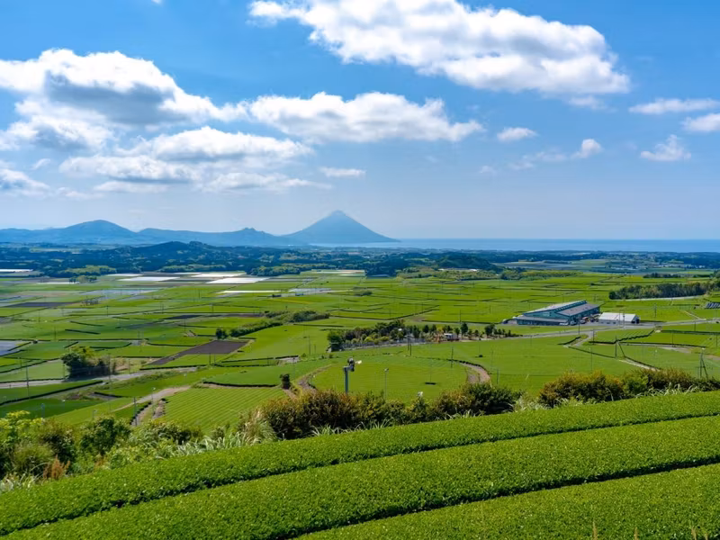 Kagoshima Private Tour - Mt. Kaimon and tea terraces at Bakken hill.
