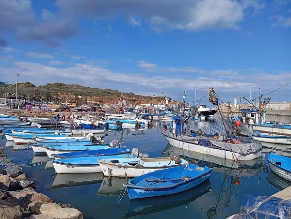 Algiers Private Tour - fishing Tipazaport