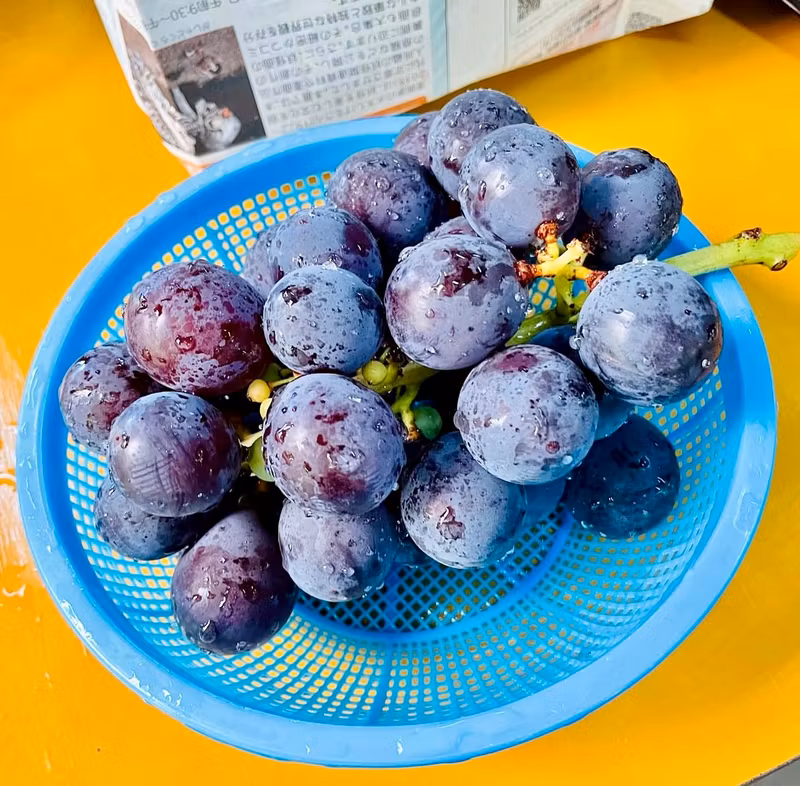 Nagoya Private Tour - 