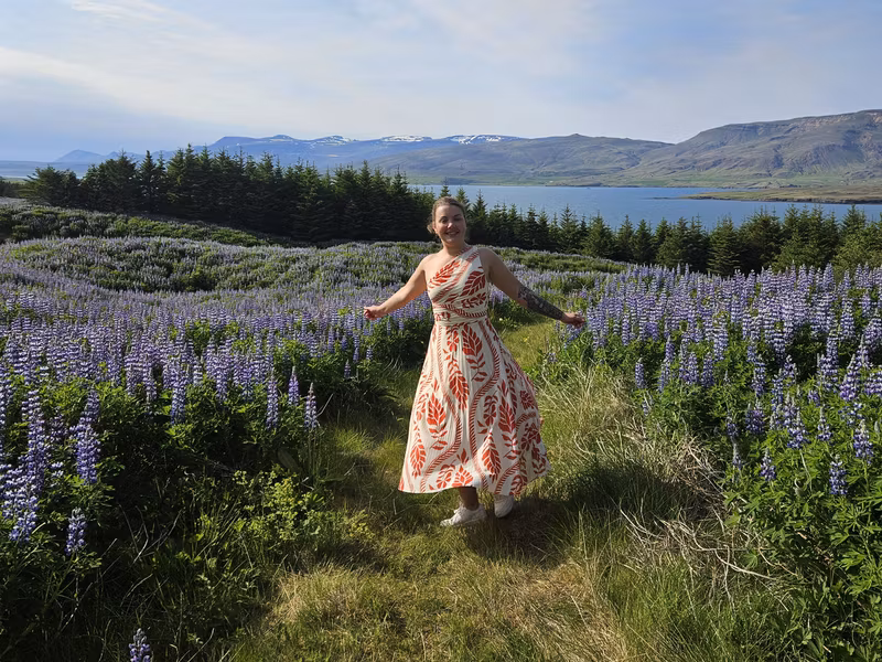 Reykjavik Private Tour - Summertime at my summerhouse