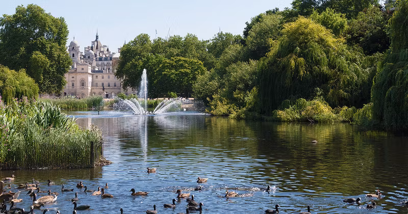 London Private Tour - St James Park