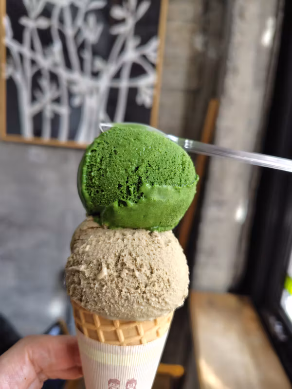 Shizuoka Private Tour - Matcha ice cream!
