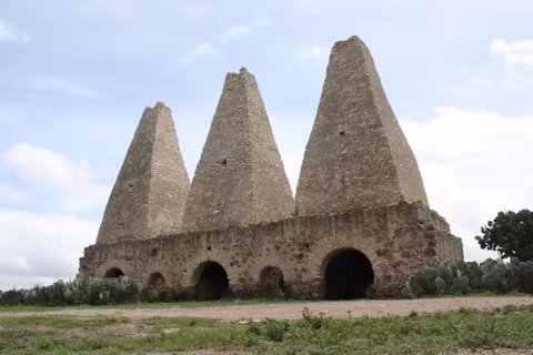 MINERAL DE POZOS FROM SAN MIGUEL DE ALLENDE (SEDAN 1-2 PAX)cover image