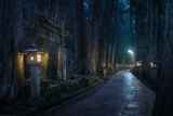 Koyasan resident guides N. - Local Tour Guide in Mount Koya