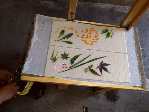 Washi making (traditional Japanese paper pulping) and sake brewery experience and more