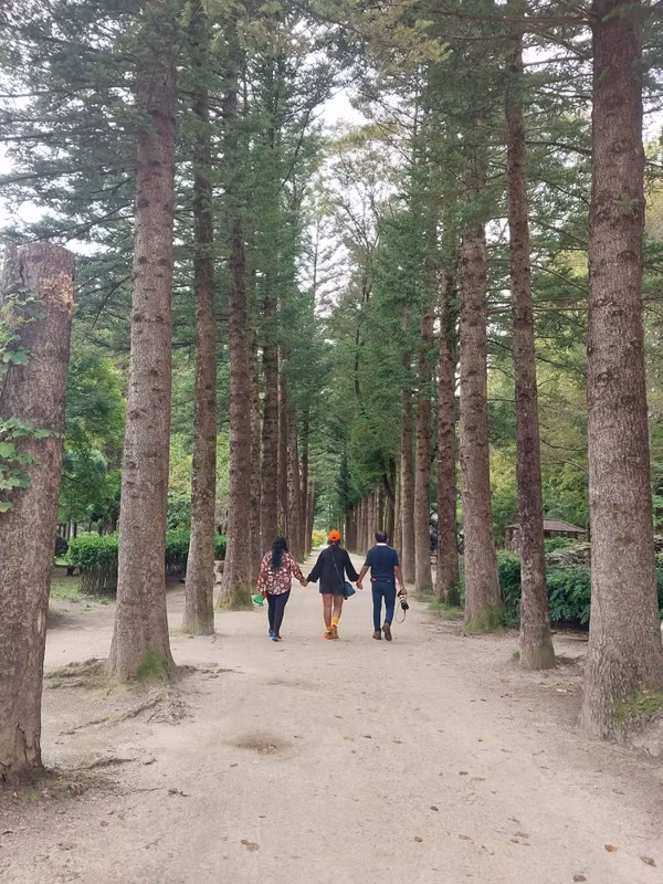 Gyeonggi Private Tour - 