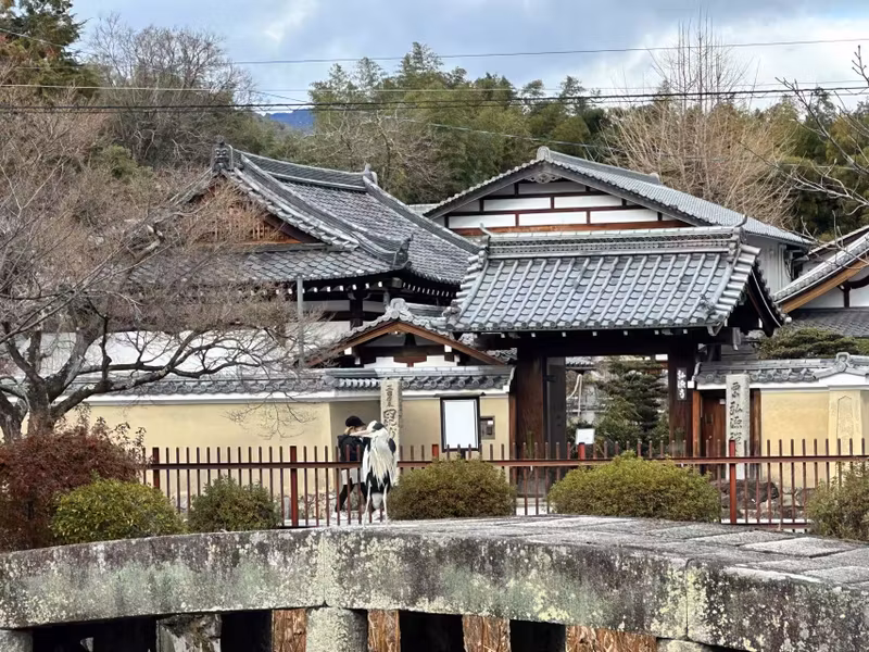 Kyoto Private Tour - affiliated temple to Tenryuji