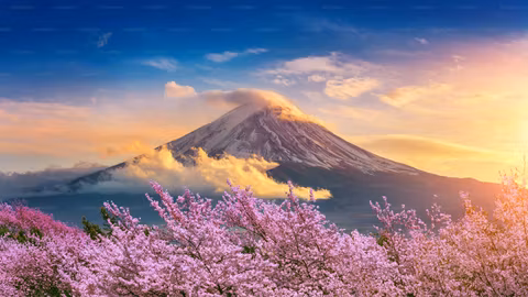 Mt. Fuji Private Customized Day Tourcover image