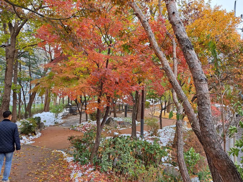 Seoul Private Tour - Namsan Jarak-gil (walking trail)