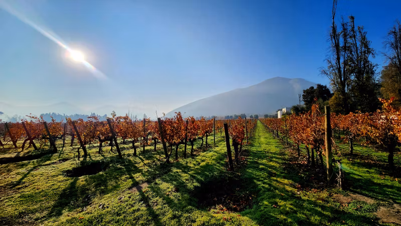 Santiago Private Tour - 