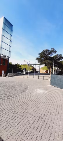 Origins & Freedom Private Tour: Constitution Hill & Cradle of Humankindcover image