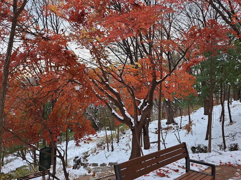 Seoul Private Tour - Namsan Jarak-gil (walking trail)
