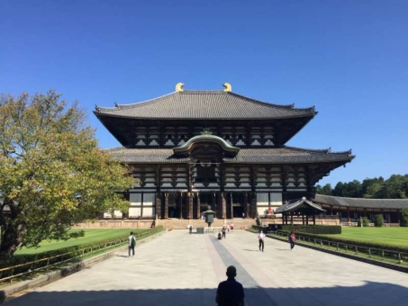 Todaiji Temple (Great Buddha Statue), 東大寺(大仏) | GoWithGuide