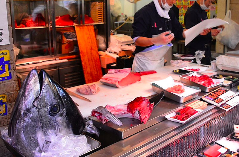 Sushi Dai Best Sushi Restaurant At Tsukiji Market Tokyo - Kulture Kween