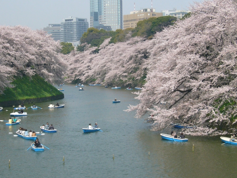 Best Things to Do and See in Tokyo in April